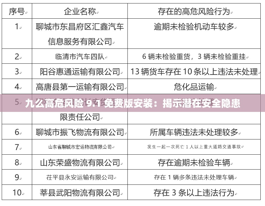九么高危风险 9.1 免费版安装：揭示潜在安全隐患