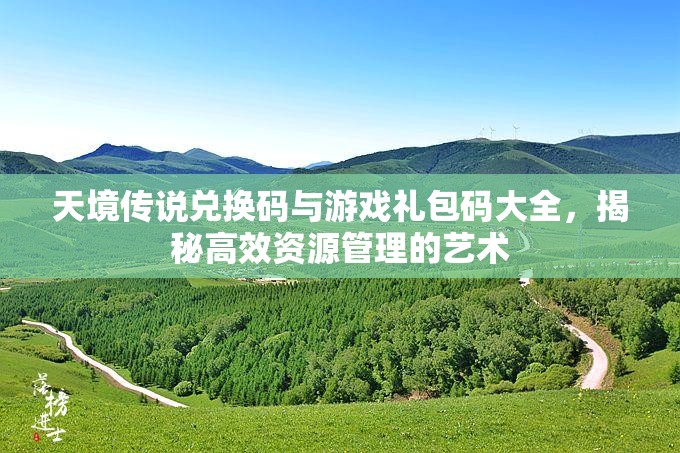 天境传说兑换码与游戏礼包码大全，揭秘高效资源管理的艺术