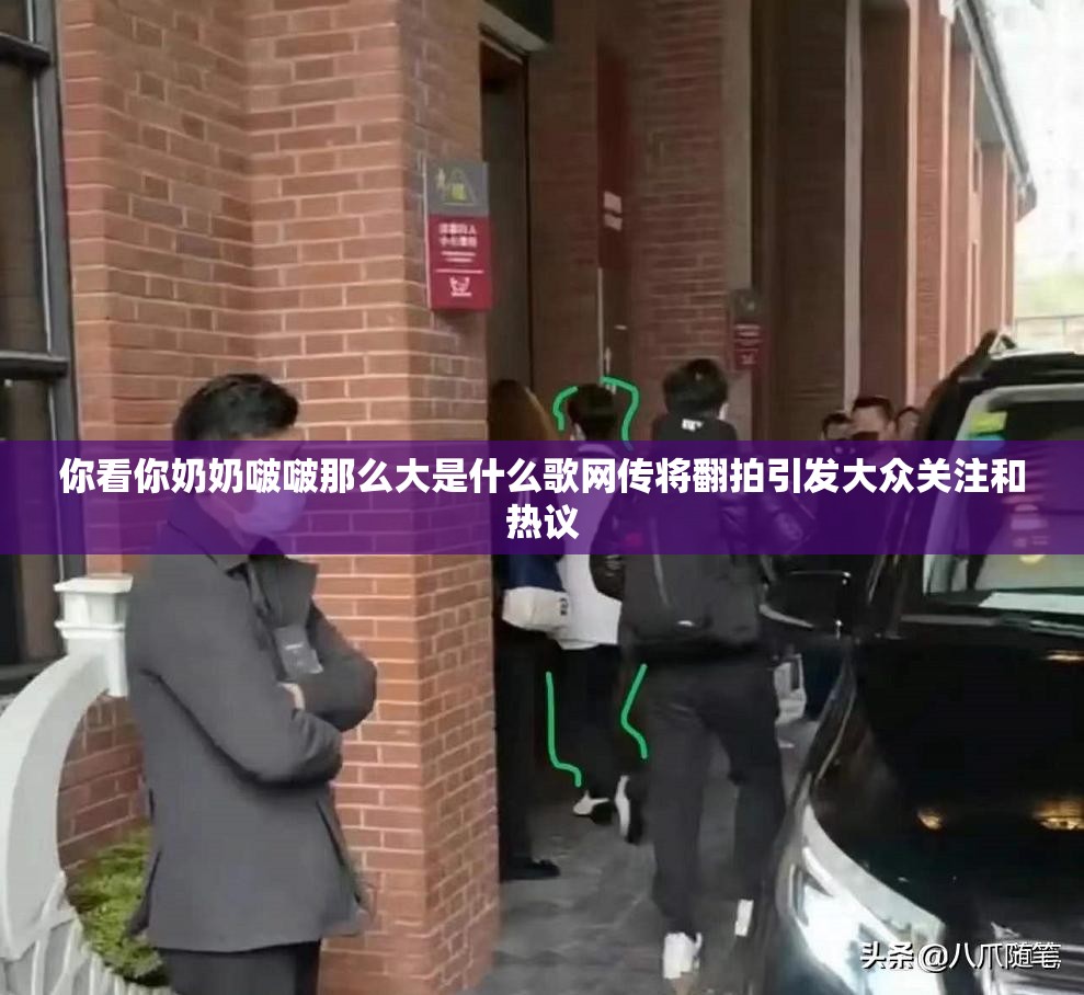 你看你奶奶啵啵那么大是什么歌网传将翻拍引发大众关注和热议