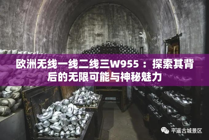 欧洲无线一线二线三W955 ：探索其背后的无限可能与神秘魅力