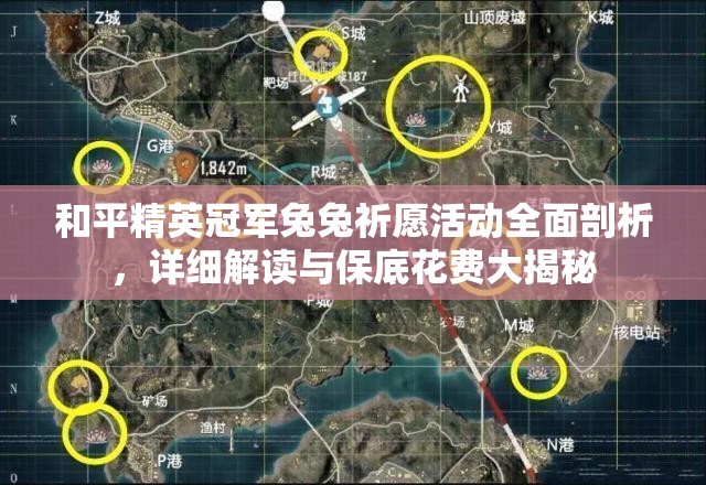 和平精英冠军兔兔祈愿活动全面剖析，详细解读与保底花费大揭秘