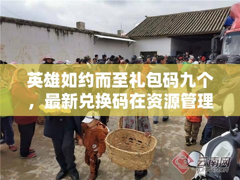 英雄如约而至礼包码九个，最新兑换码在资源管理中的核心价值与高效利用策略