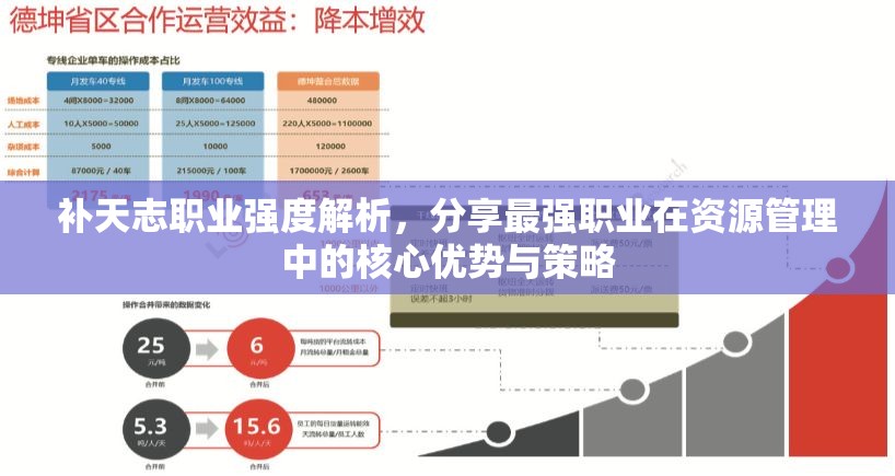 补天志职业强度解析，分享最强职业在资源管理中的核心优势与策略