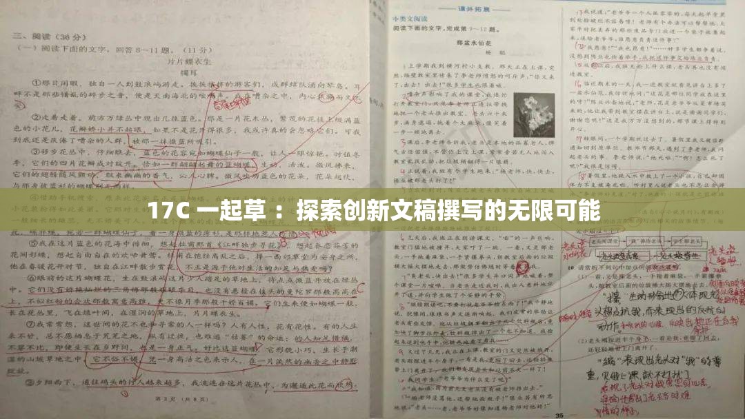 17C 一起草 ：探索创新文稿撰写的无限可能