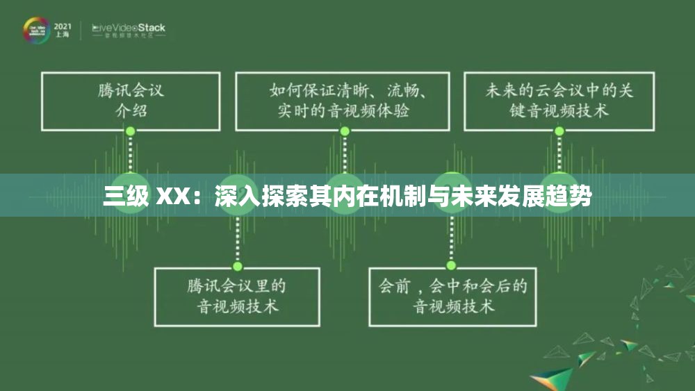 三级 XX：深入探索其内在机制与未来发展趋势