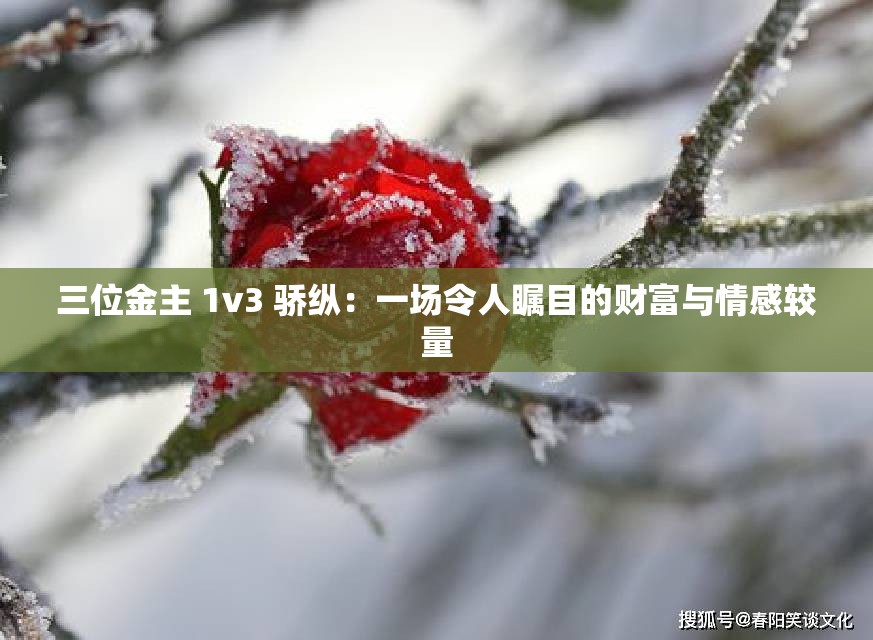 三位金主 1v3 骄纵：一场令人瞩目的财富与情感较量