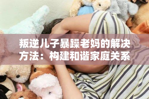叛逆儿子暴躁老妈的解决方法：构建和谐家庭关系的指南