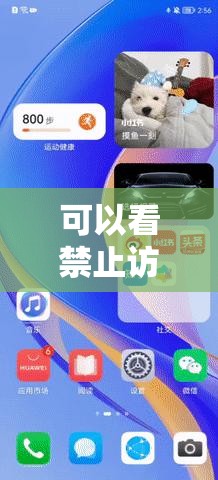 可以看禁止访问网站的浏览器：超越限制畅享网络世界