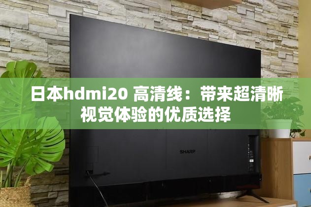 日本hdmi20 高清线：带来超清晰视觉体验的优质选择