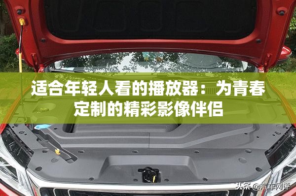 适合年轻人看的播放器：为青春定制的精彩影像伴侣