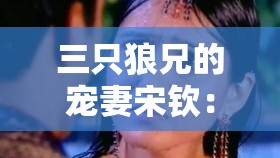 三只狼兄的宠妻宋钦：一段刻骨铭心的爱情传奇