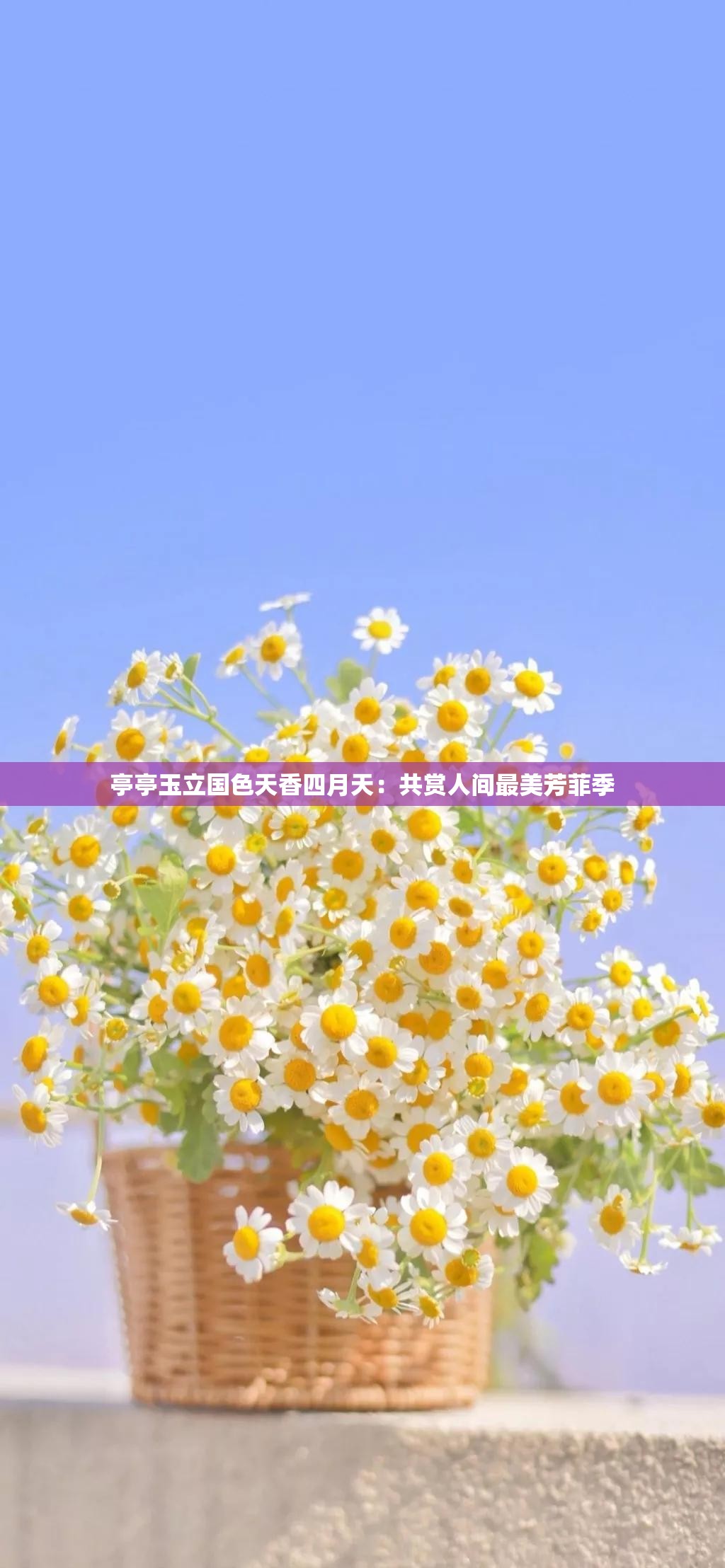 亭亭玉立国色天香四月天：共赏人间最美芳菲季