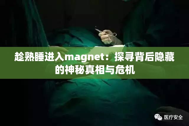 趁熟睡进入magnet：探寻背后隐藏的神秘真相与危机
