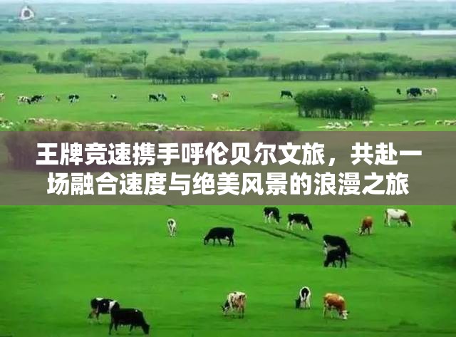 王牌竞速携手呼伦贝尔文旅，共赴一场融合速度与绝美风景的浪漫之旅
