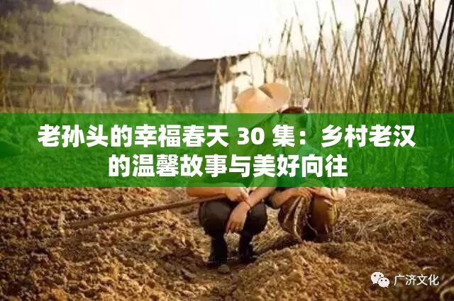 老孙头的幸福春天 30 集：乡村老汉的温馨故事与美好向往