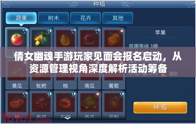 倩女幽魂手游玩家见面会报名启动，从资源管理视角深度解析活动筹备