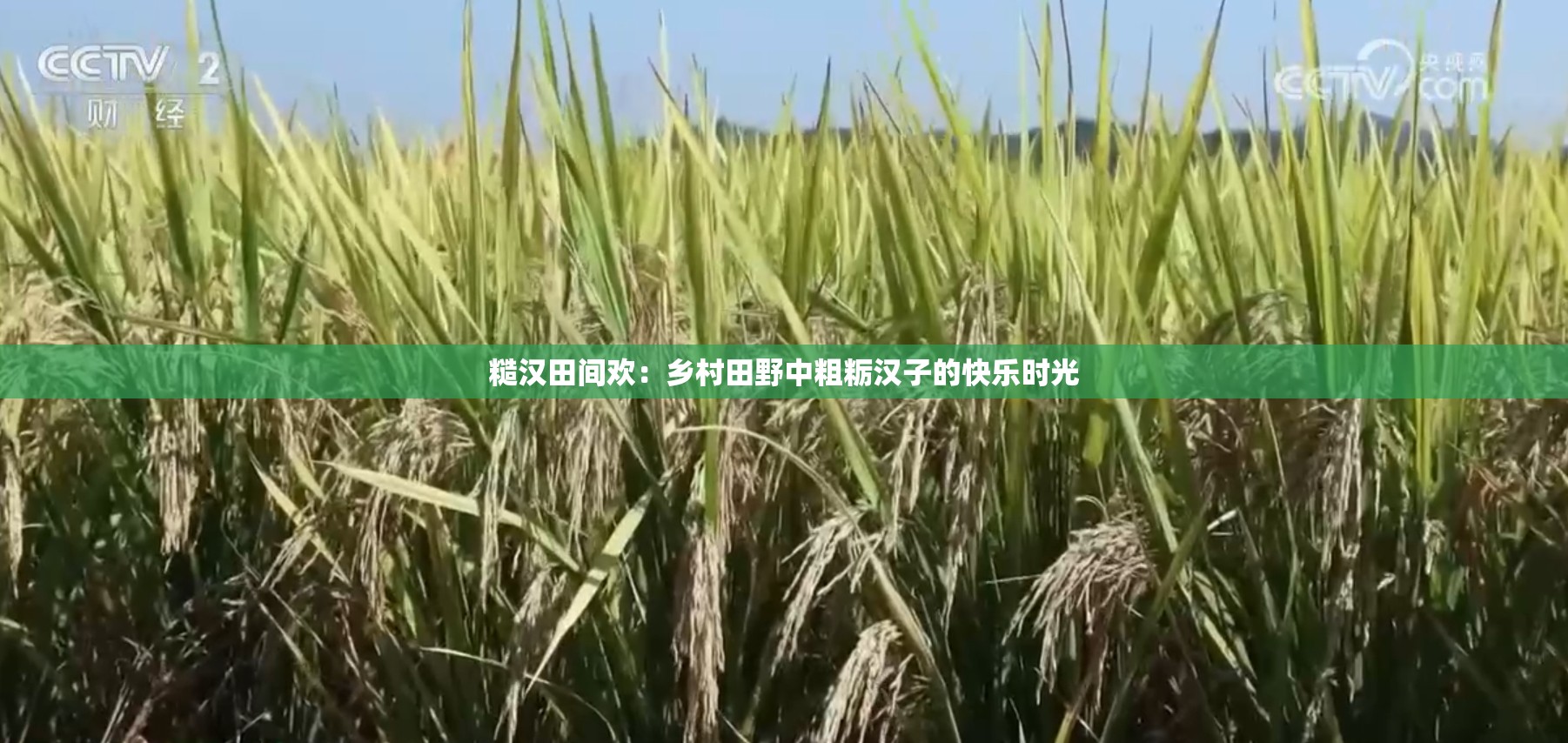 糙汉田间欢：乡村田野中粗粝汉子的快乐时光