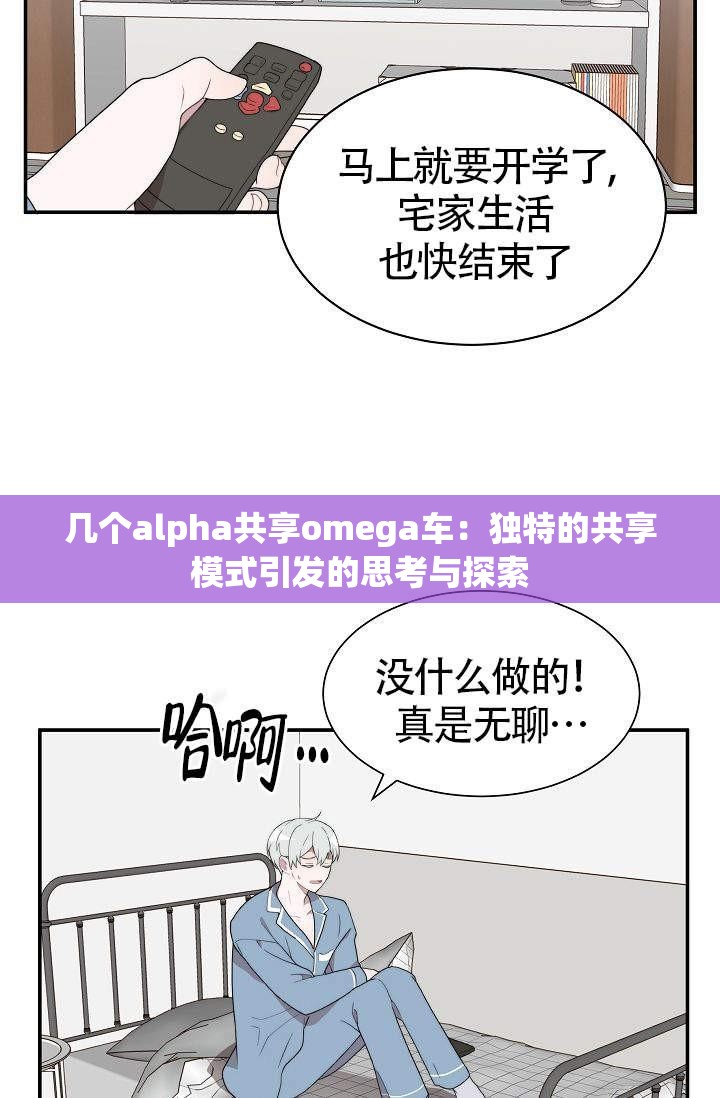 几个alpha共享omega车：独特的共享模式引发的思考与探索