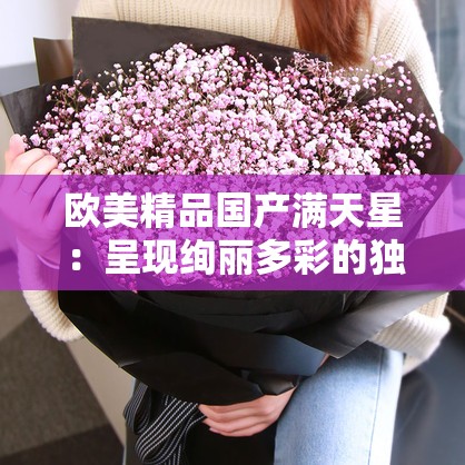 欧美精品国产满天星：呈现绚丽多彩的独特魅力