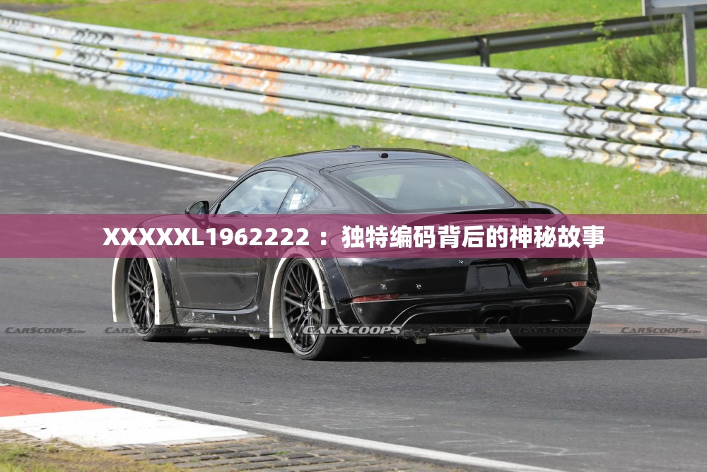 XXXXXL1962222 ：独特编码背后的神秘故事
