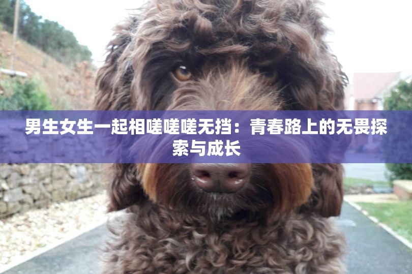男生女生一起相嗟嗟嗟无挡：青春路上的无畏探索与成长
