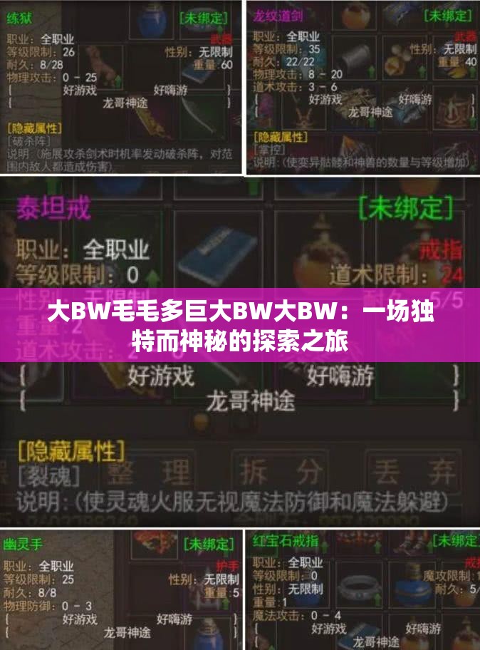 大BW毛毛多巨大BW大BW：一场独特而神秘的探索之旅