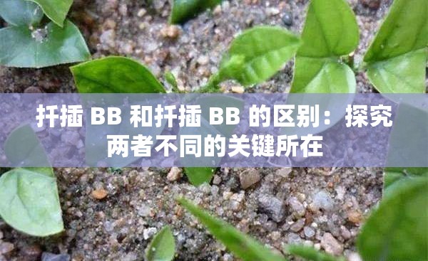 扦插 BB 和扦插 BB 的区别：探究两者不同的关键所在