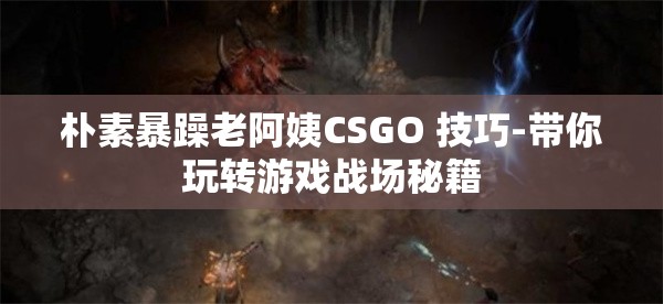 朴素暴躁老阿姨CSGO 技巧-带你玩转游戏战场秘籍