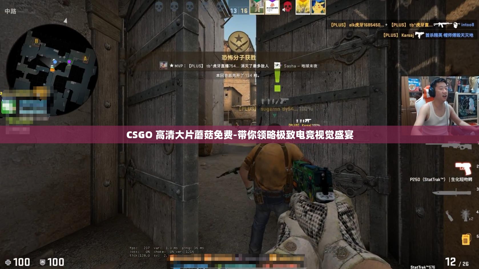 CSGO 高清大片蘑菇免费-带你领略极致电竞视觉盛宴