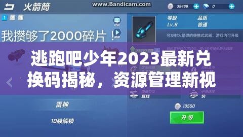逃跑吧少年2023最新兑换码揭秘，资源管理新视角下的高效利用策略