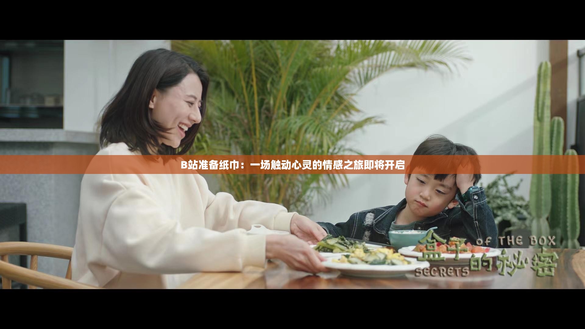 B站准备纸巾：一场触动心灵的情感之旅即将开启