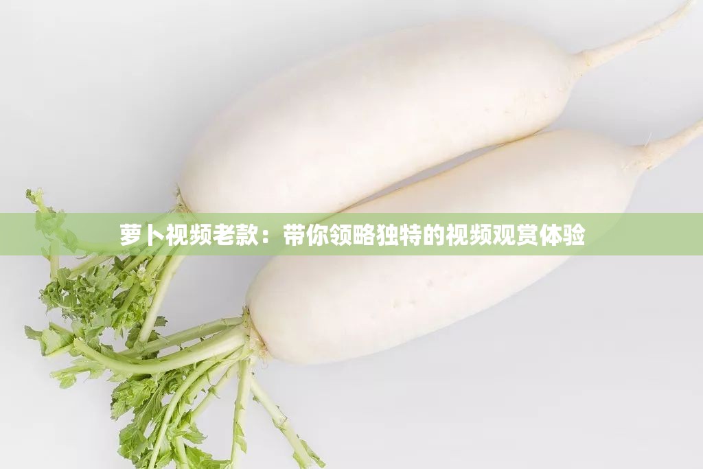 萝卜视频老款：带你领略独特的视频观赏体验