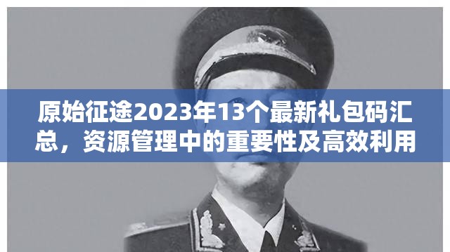 原始征途2023年13个最新礼包码汇总，资源管理中的重要性及高效利用策略解析