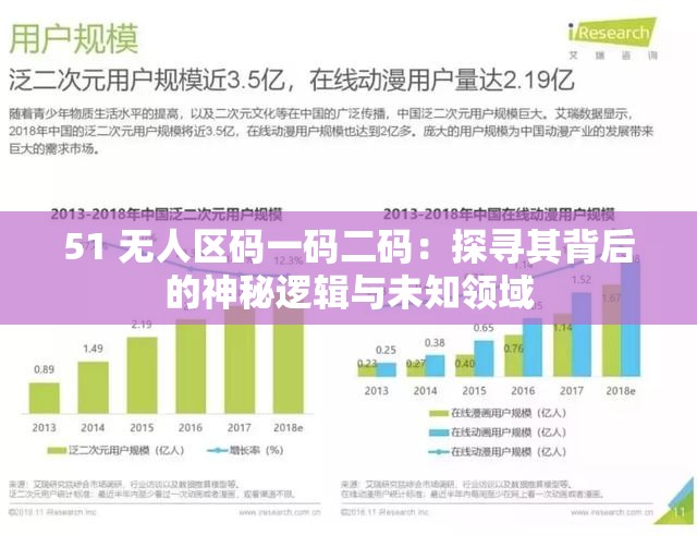 51 无人区码一码二码：探寻其背后的神秘逻辑与未知领域