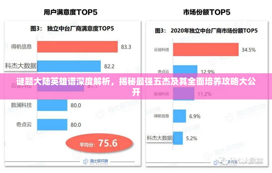 谜题大陆英雄谱深度解析，揭秘最强五杰及其全面培养攻略大公开