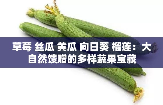 草莓 丝瓜 黄瓜 向日葵 榴莲：大自然馈赠的多样蔬果宝藏