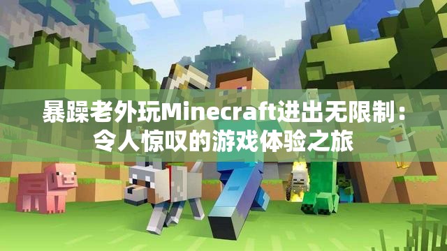 暴躁老外玩Minecraft进出无限制：令人惊叹的游戏体验之旅