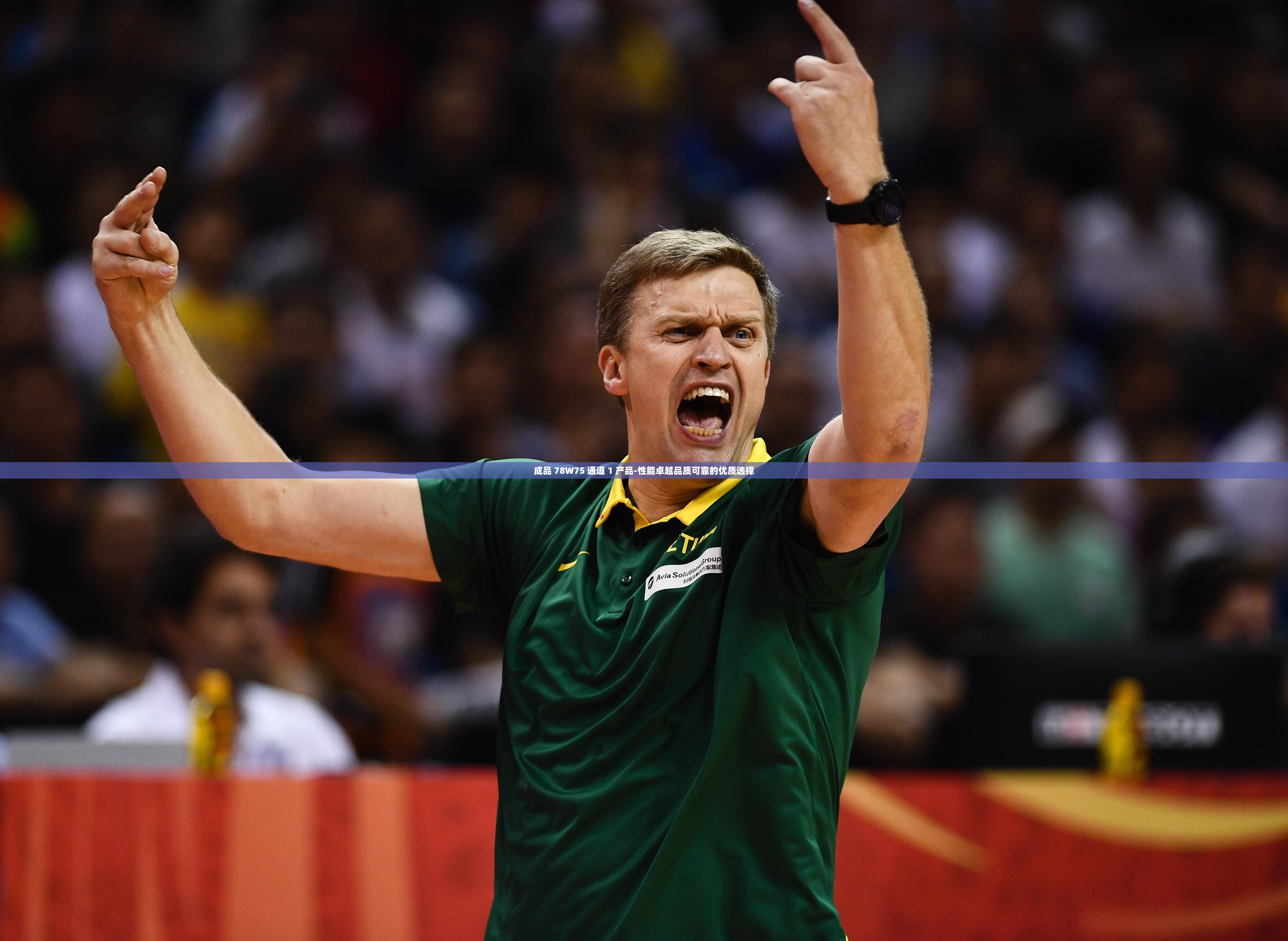 成品 78W75 通道 1 产品-性能卓越品质可靠的优质选择