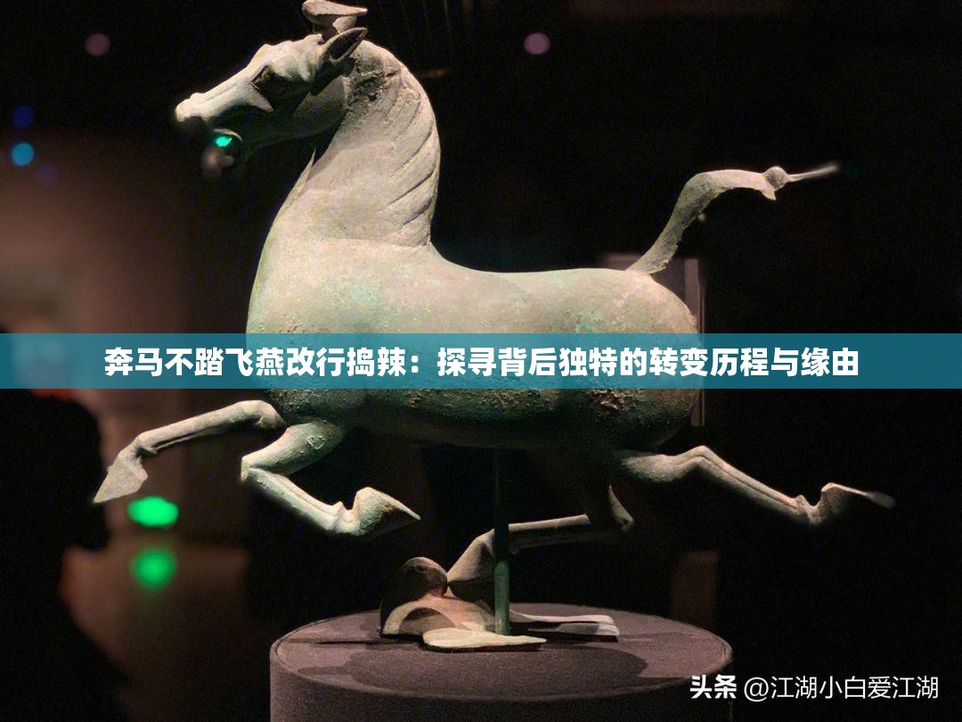 奔马不踏飞燕改行捣辣：探寻背后独特的转变历程与缘由