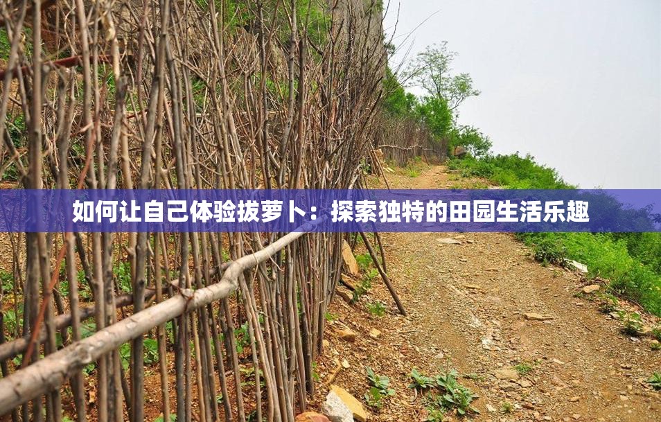 如何让自己体验拔萝卜：探索独特的田园生活乐趣