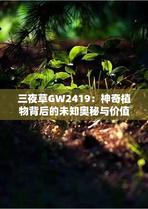 三夜草GW2419：神奇植物背后的未知奥秘与价值探索
