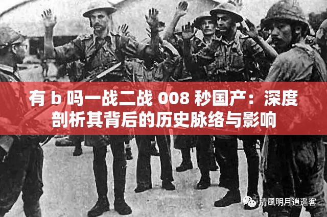 有 b 吗一战二战 008 秒国产：深度剖析其背后的历史脉络与影响