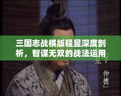 三国志战棋版程昱深度剖析，智谋无双的战法运用与最佳阵容搭配全解析