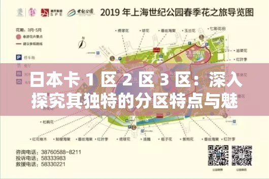 日本卡 1 区 2 区 3 区：深入探究其独特的分区特点与魅力