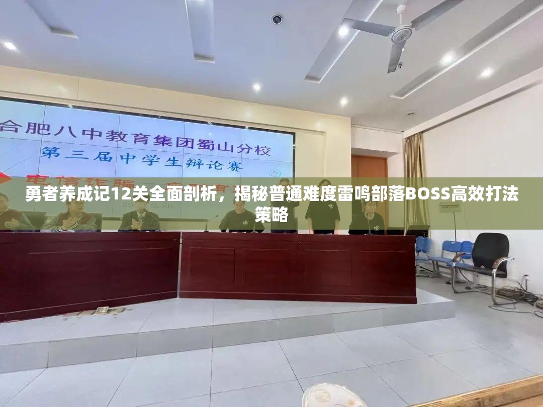 勇者养成记12关全面剖析，揭秘普通难度雷鸣部落BOSS高效打法策略