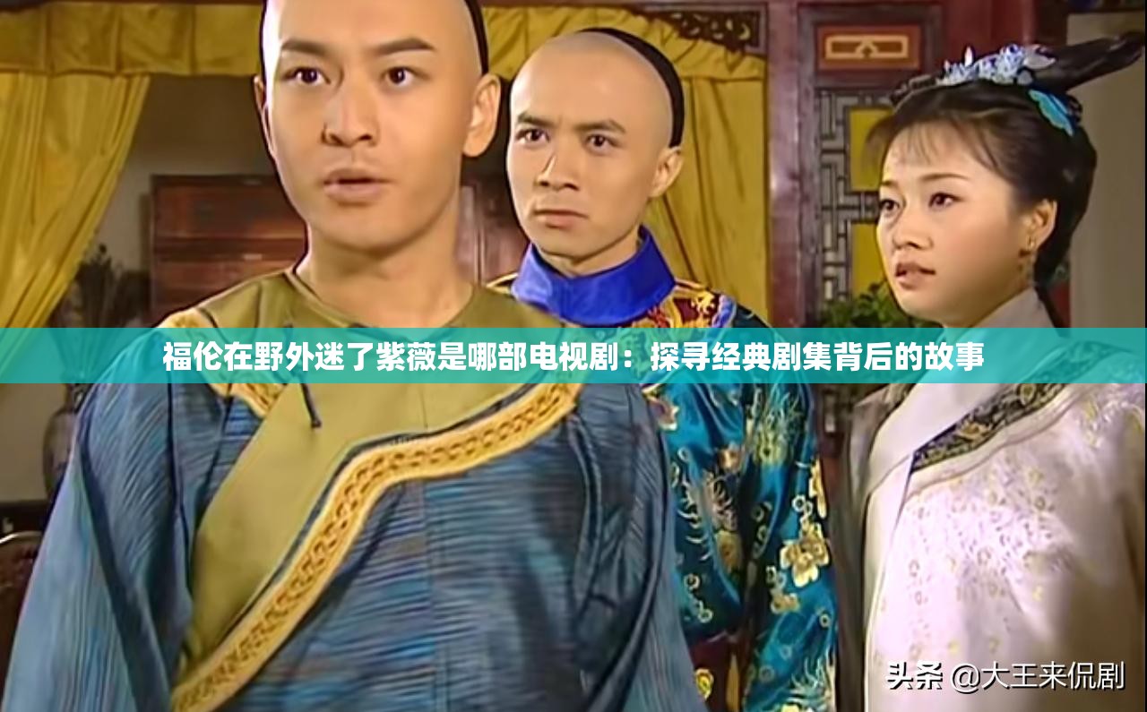 福伦在野外迷了紫薇是哪部电视剧：探寻经典剧集背后的故事