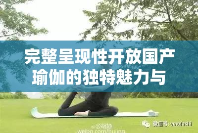 完整呈现性开放国产瑜伽的独特魅力与内涵