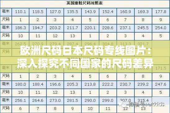 欧洲尺码日本尺码专线图片：深入探究不同国家的尺码差异
