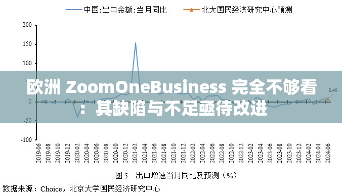 欧洲 ZoomOneBusiness 完全不够看：其缺陷与不足亟待改进