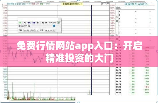 免费行情网站app入口：开启精准投资的大门